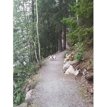 In The Rosbachtal شقة Rosbach
